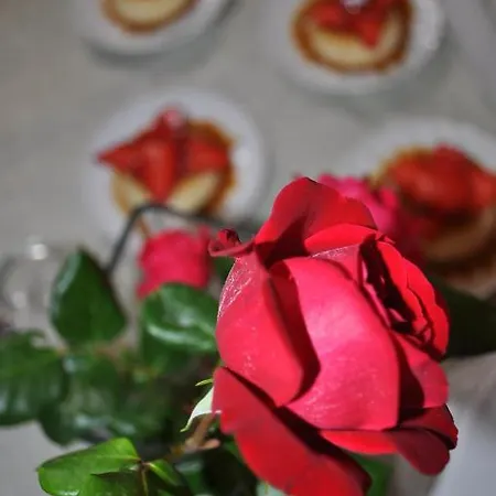 Εξοχικό σπίτι Masseria Costanza *