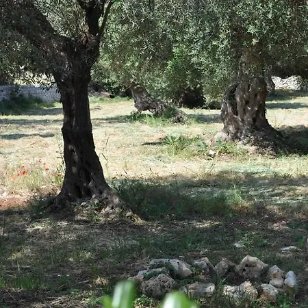 Εξοχικό σπίτι Masseria Costanza Putignano