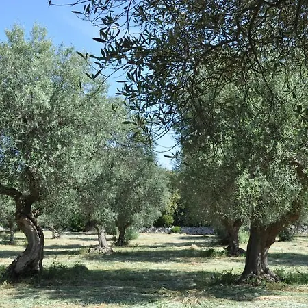 Εξοχικό σπίτι Masseria Costanza Putignano