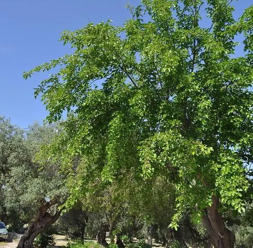 Masseria Costanza 컨트리하우스 *