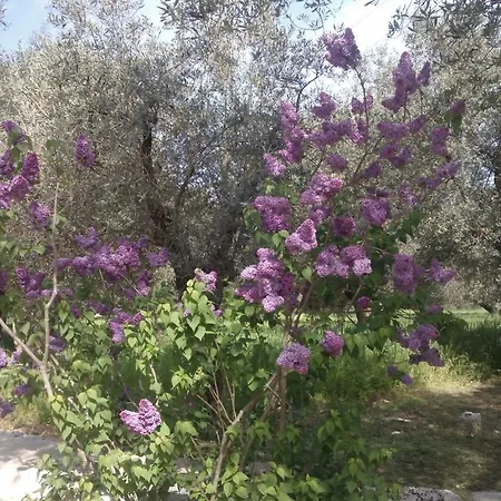Séjour à la campagne Masseria Costanza *