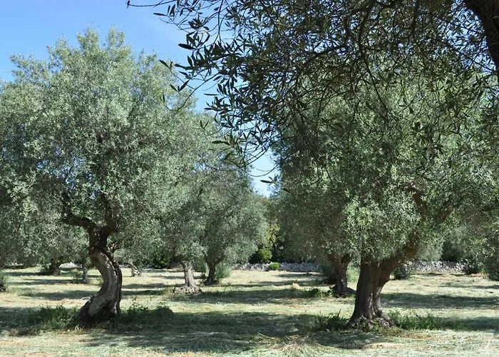 Kır Evi Masseria Costanza Putignano