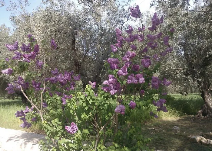 Séjour à la campagne Masseria Costanza *